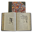 Punch - 1901 Edition CXB0297