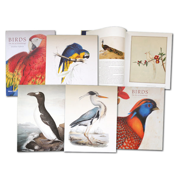 Birds The Art of Ornithology CXB0469