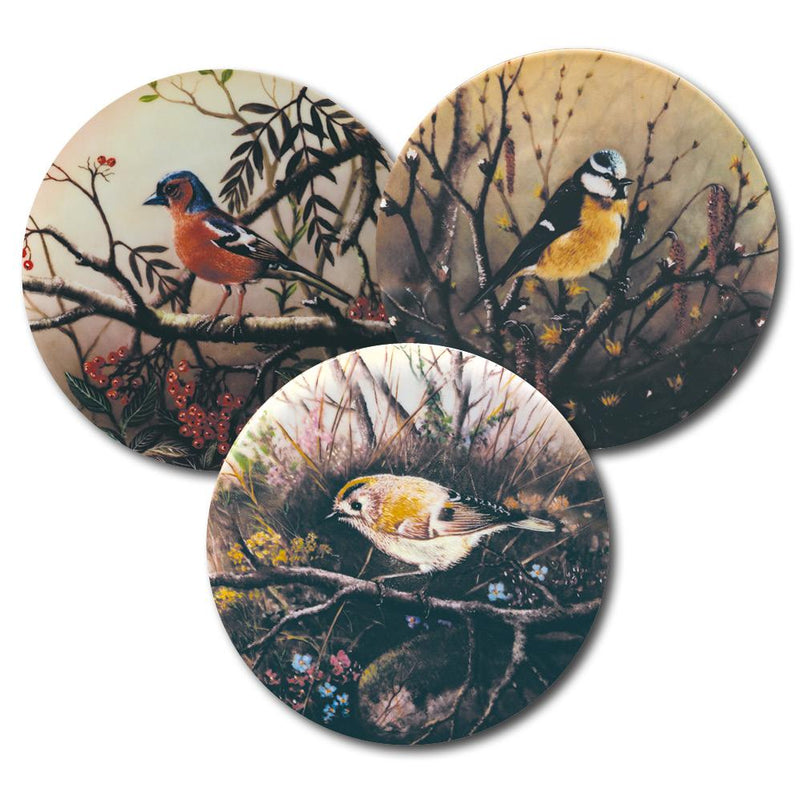 Collector Plates - Birds - Set of 9 CXG0084