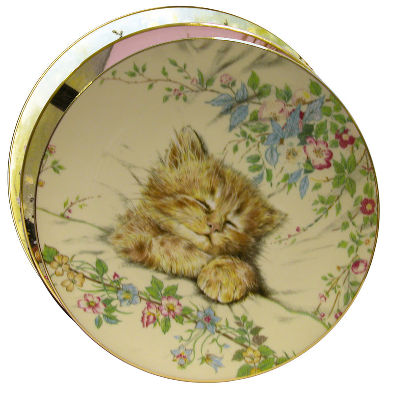 Royal Worcester Collector's Plates Kitten Classics - Set of 8 CXG0198