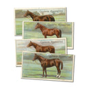 Racehorses (50) Ogden's 1907 CXM0442A