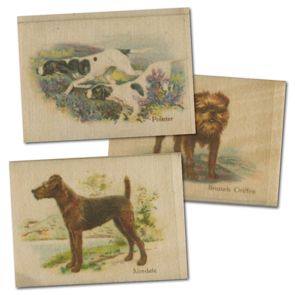 BAT Best Dogs & Their Breed 1913 (L50) Silk Cat £280