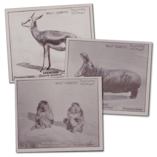 Zoological Series (Large - 50) Wills 1922