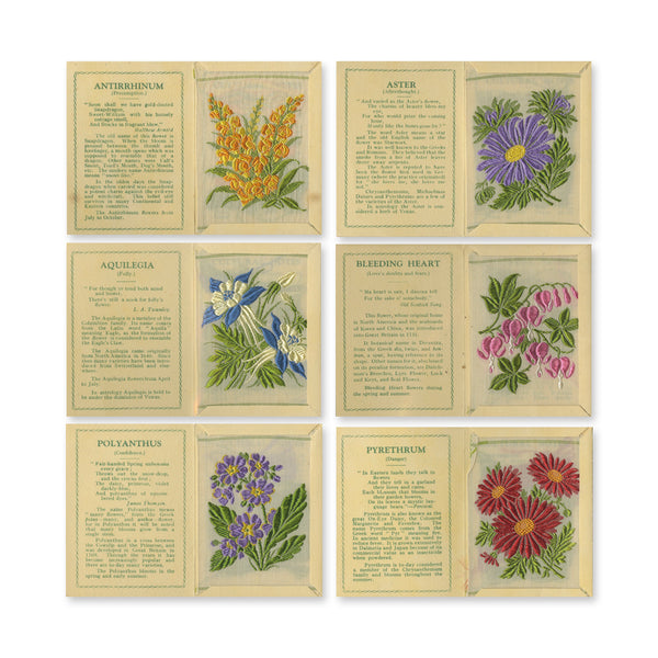 Kensitas Flowers - First Series (Medium - 60) J. Wix & Sons 1934 - PLUS 20 Additional Silk Varieties CXM0724