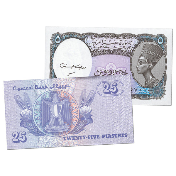 Pair of Egyptian Banknotes CXN0009