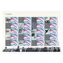 2008 Air Displays Royal Mail Commemorative Sheet