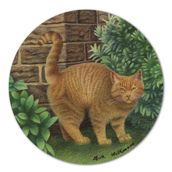 British Shorthair Cat artwork by Mark Wilkinson OBA0022