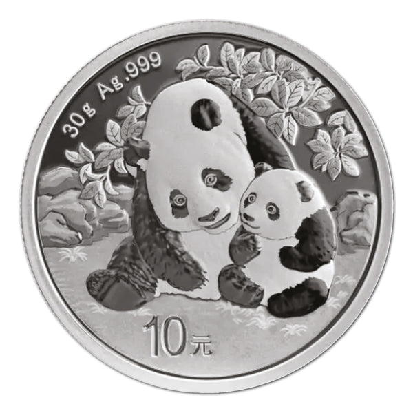 2024 $10 Yuan Silver Panda Coin