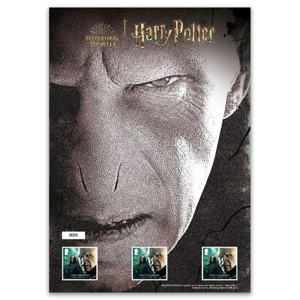 2023 Harry Potter  Fan Sheet - Voldemort