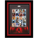 2017 Space Adventure Ultimate Collectors' Sheet - Framed SD940