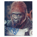 Michael Clarke Duncan  - Autograph - Signed Colour Photograph