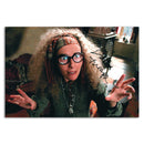 Emma Thompson - Autograph - Signed Colour Photograph