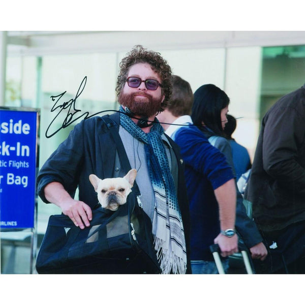 Zach Galifianakis - Autograph - Signed Colour Photograph