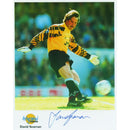 David Seaman - Autograph - Signed Colour Photograph