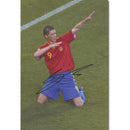 Fernando Torres Autograph Signed Photograph