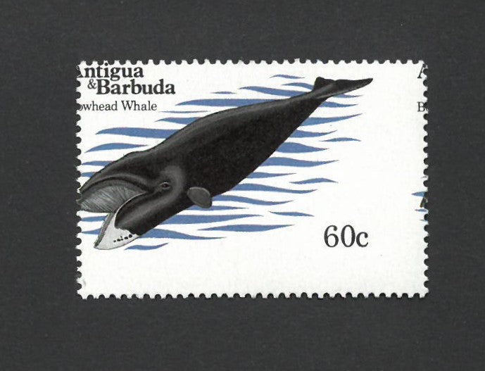 Antigua 1983 60c Whale Perf Misplacement SG790 VANT790