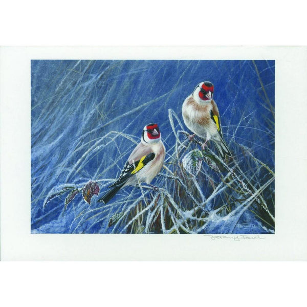 J.Paul Goldfinch (58p stamp) Signed print XSD765