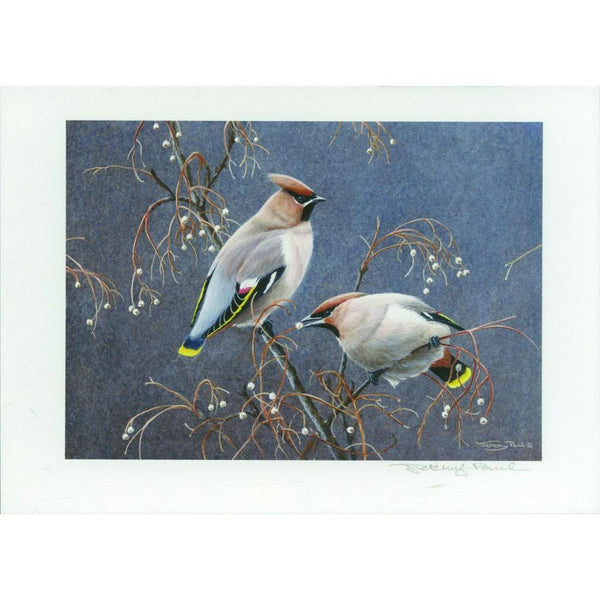 J.Paul Waxwings (76p stamp) Signed Print XSD767